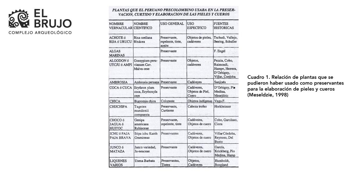 el uso de pieles y cueros en la confección de vestimenta